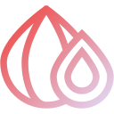 Fig Immerse Studio Logo